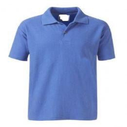 Warwick Academy Royal Poloshirt with Logo – Uniform Shop Wellingborough